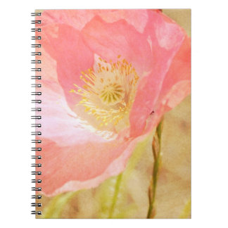 Pink Iceland Poppy Notebook