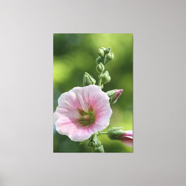 Pink Icing Canvas Print (Front)