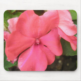 Pink Impatiens Flower Macro Mousepad