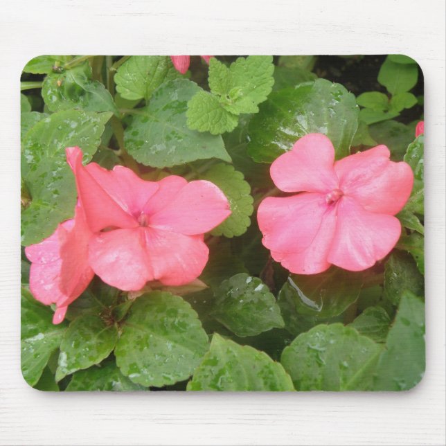 Pink Impatiens Flowers Mousepad (Front)