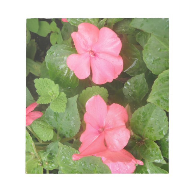 Pink Impatiens Flowers Notepad (Front)
