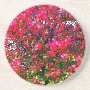 Pink impressionistic Autumn Leaves trees Coaster
