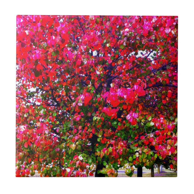 Pink impressionistic Autumn Leaves trees Tile (Front)