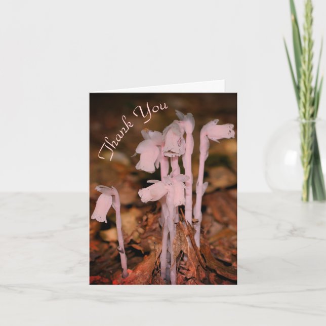 Pink Indian Pipe Fleur sauvage Nature Carte de rem (Devant)