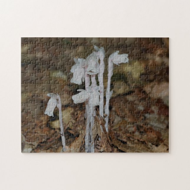 Pink Indian Pipe Ghost Flower  Jigsaw Puzzle (Horizontal)