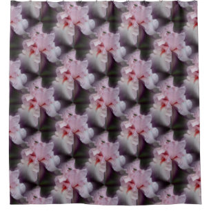 Pink Iris Flower Pattern
