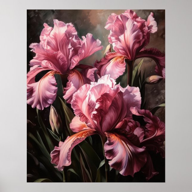 Pink Iris Flowers Art Print Poster (Front)