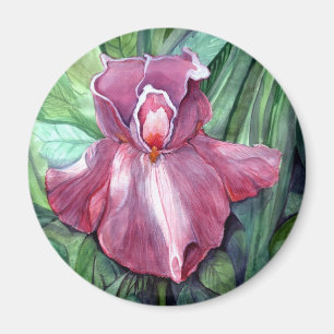 Pink Iris Magnet