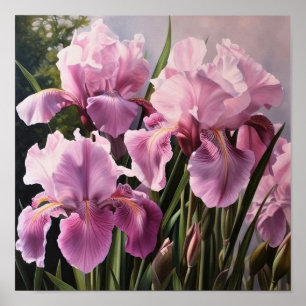 Pink Irises Flower Art Print Poster