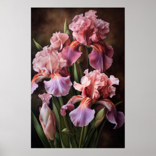 Pink Irises Flower Art Print Poster 