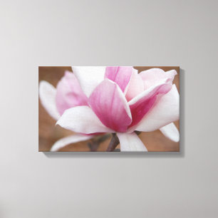 Pink Japanese Magnolia Blossom Canvas Print