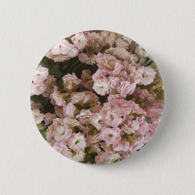 Pink Kalanchoe Plant 2 Inch Round Button (Front)