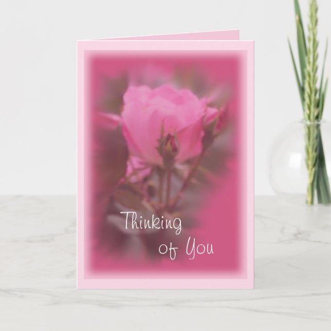 Pink Knockout Rose card- any occasion Card (Front)
