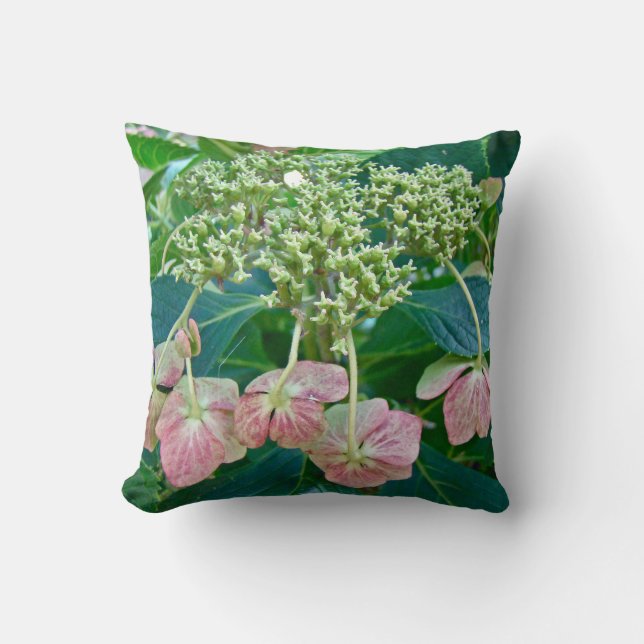 Pink Lace-Cap Hydrangea Blossoms - Pillow (Front)
