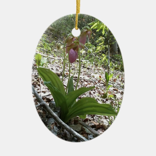 Pink lady slipper Orchid Ceramic Ornament (Front)