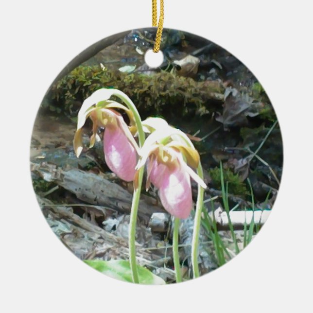 Pink Lady slipper orchid Ceramic Ornament (Front)