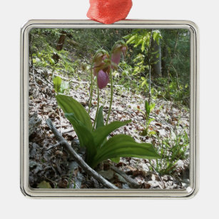 Pink lady slipper Orchid Metal Ornament