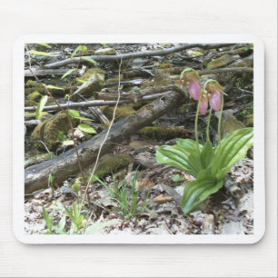 Pink lady slipper orchid mouse pad