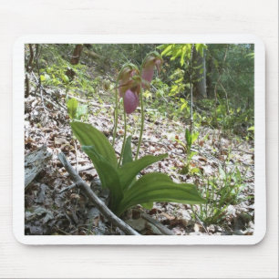 Pink lady slipper Orchid Mouse Pad