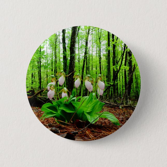 Pink Lady Slipper wild Orchid 2 Inch Round Button (Front)