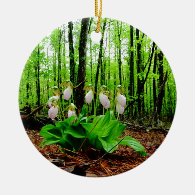 Pink Lady Slipper wild Orchid Ceramic Ornament (Front)
