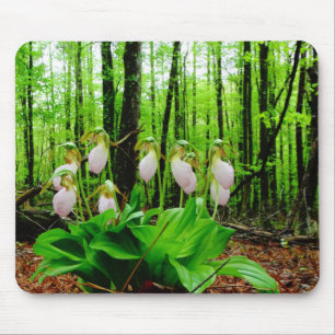 Pink Lady Slipper wild Orchid Mouse Pad