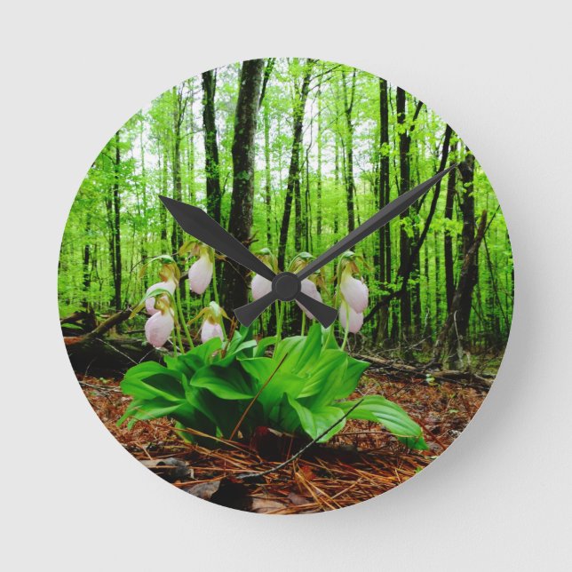 Pink Lady Slipper wild Orchid Round Clock (Front)