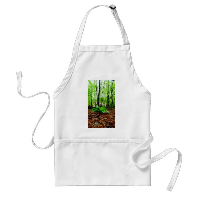 Pink Lady Slipper wild Orchid Standard Apron (Front)