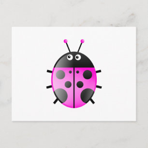 Pink Ladybug Postcard