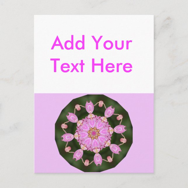 Pink Ladybugs Dancing Queen Bee Pink Orchid Postcard (Front)