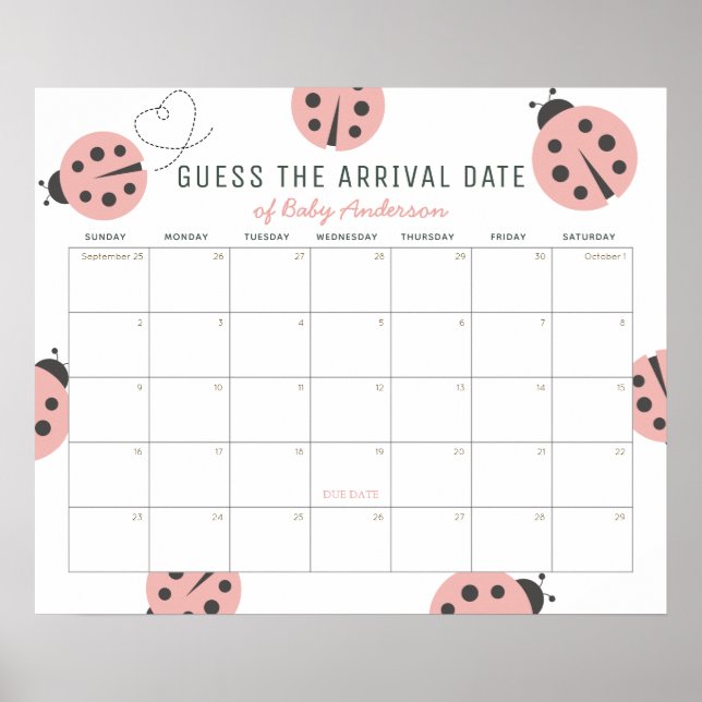 Pink Ladybugs Guess The Due Date Calendar Poster (Front)