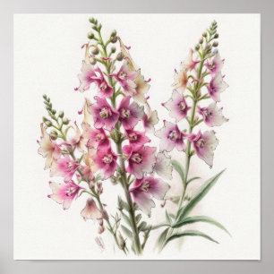 Pink Larkspur Flower Art Print Poster