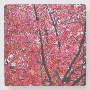 Pink leaves stone coaster