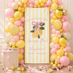 Pink Lemon Baby Shower Vinyl Banner