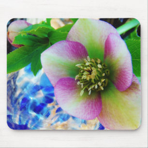 Pink Lenten Rose blue glass ball Mouse Pad