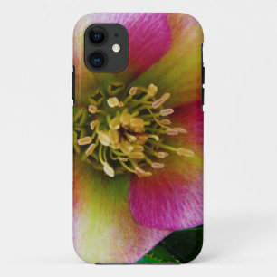 Pink Lenten Rose, iPhone 11 Case