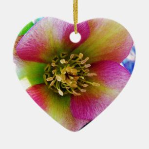 Pink Lenten Rose, Ceramic Ornament