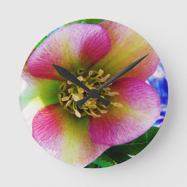 Pink Lenten Rose, Round Clock (Front)
