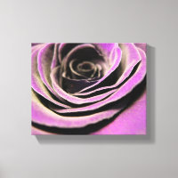 Pink Lilac Rose