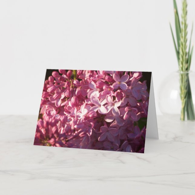 Pink Lilacs Greeting Card (Front)