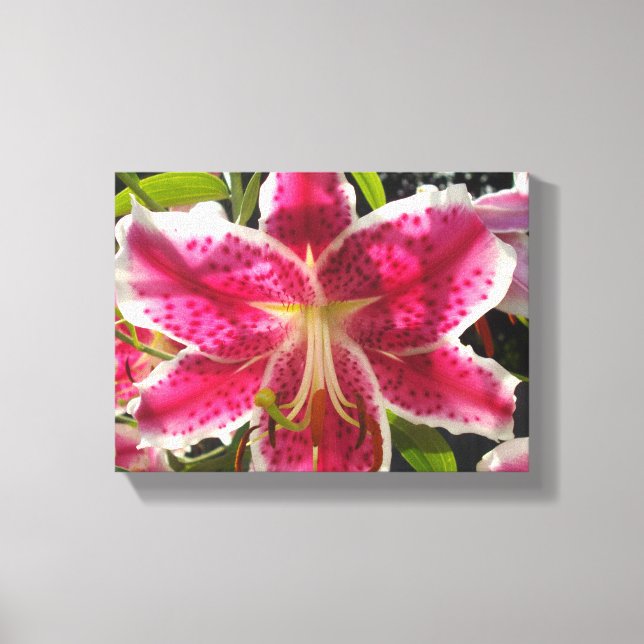 Pink lilies pink tropical flowers pink floral canvas print (Front)