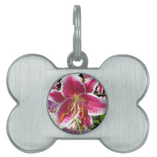 Pink lilies pink tropical flowers pink floral pet ID tag