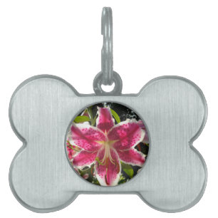 Pink lilies pink tropical flowers pink floral pet tag