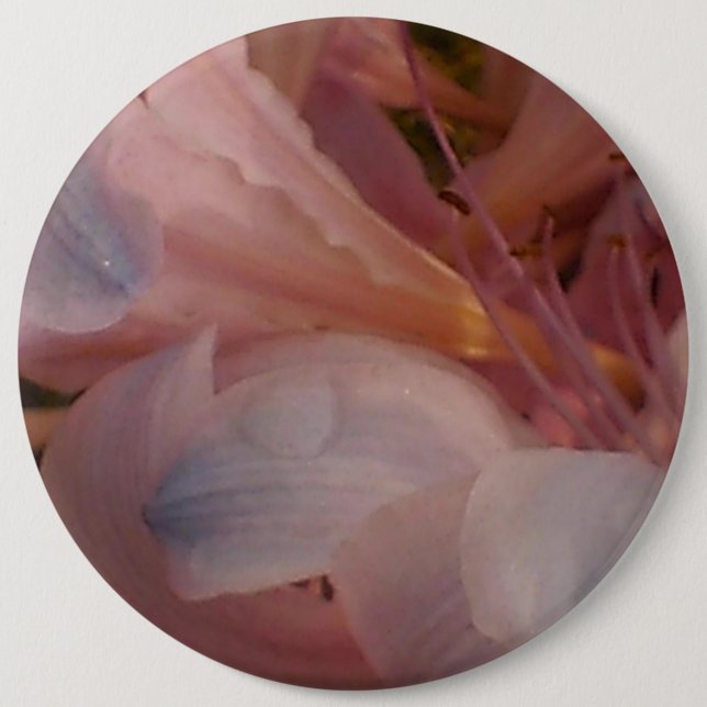 Pink Lily 6 Inch Round Button (Front)