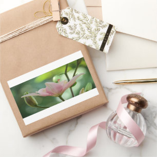 Pink Lily-Bokeh by Shirley Taylor Sticker