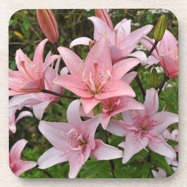 Pink lily floral beauty   coaster (Front)