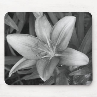 Pink Lily Mouse Pad