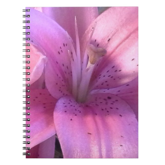 Pink Lily Notebook (Front)