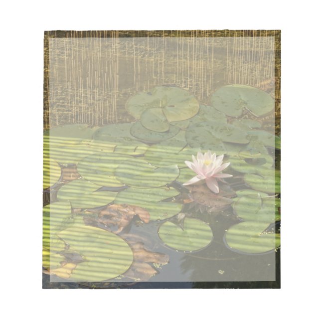 pink lily notepad (Front)