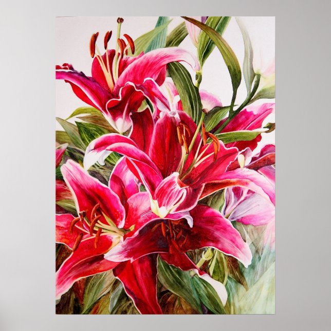 Pink Lily Original Botanical Print Canvas Poster (Front)
